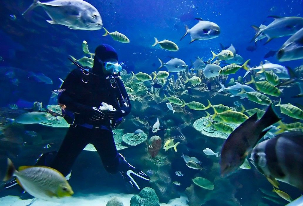 Baron Resort Sharm El Sheikh (Adults Only) Exterior foto Open Ocean