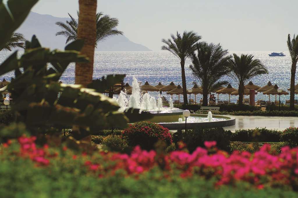 Baron Resort Sharm El Sheikh (Adults Only) Restaurant foto Hilton Sharm El Sheikh Resort